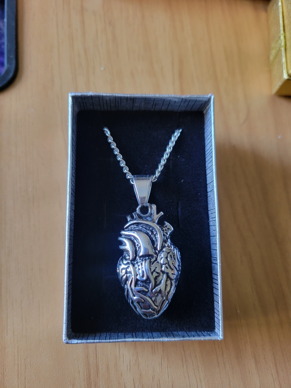 🧋NEW🧋Stainless Steel Anatomical Heart Pendant Necklace - Silver